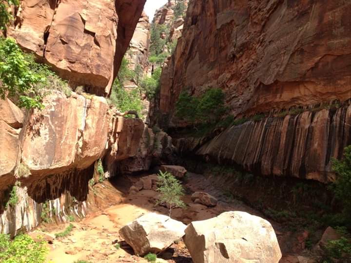 water canyon pipkin adventures 3