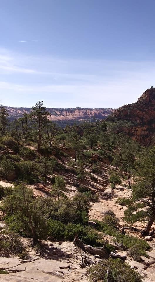 water canyon pipkin adventures